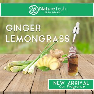 GINGER LEMONGRASS