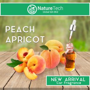 PEACH APRICOT