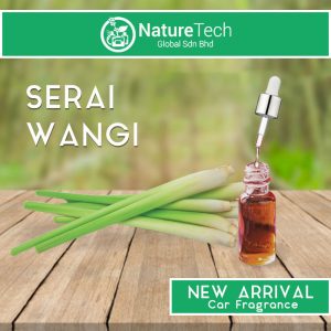 SERAI WANGI